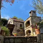 Androcec