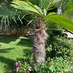 Androcec * Zgaljic