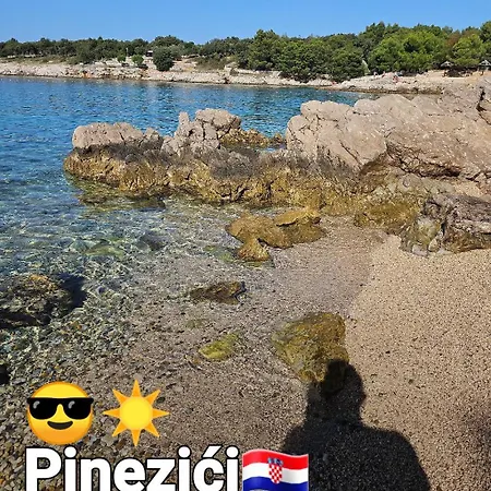 Androcec * Zgaljic