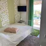 Androcec * Zgaljic